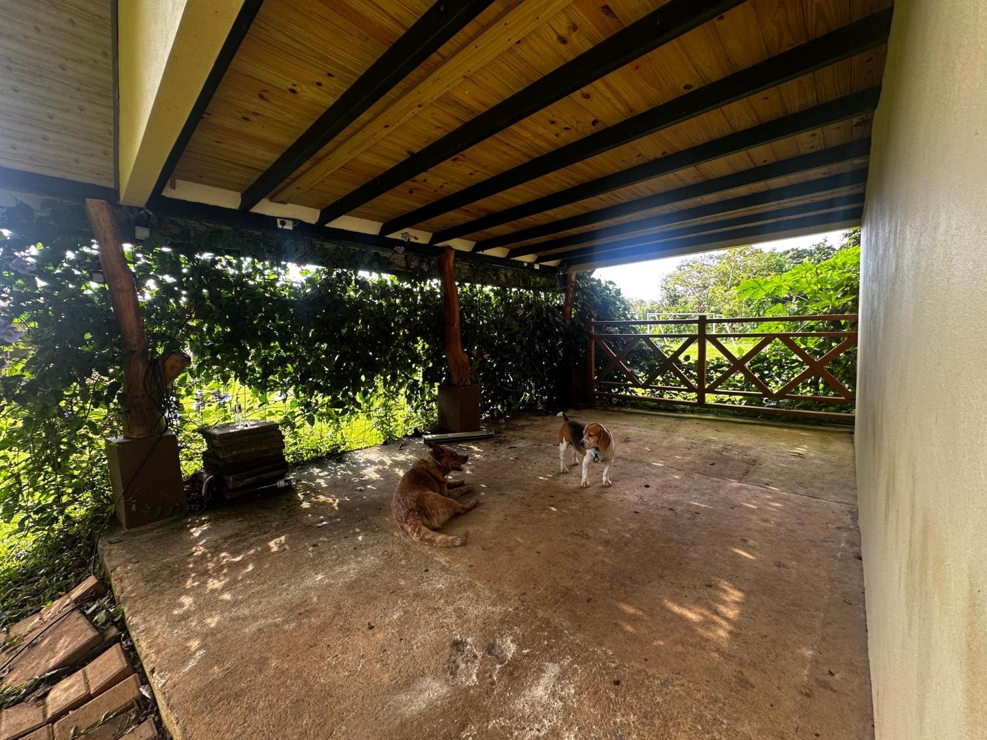 Modern Loft Inside A Beautiful Farm Διαμέρισμα General Viejo Εξωτερικό φωτογραφία